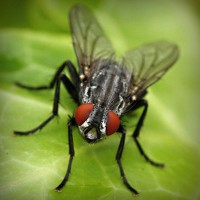 /album/tacbonicgest/photolia-a01-jpg/