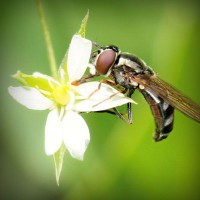 /album/tacbonicgest/photolia-a02-jpg/