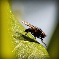 /album/tacbonicgest/photolia-a04-jpg/