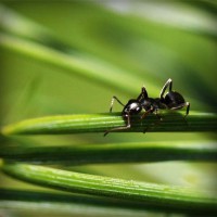 /album/tacbonicgest/photolia-a05-jpg/