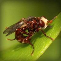 /album/tacbonicgest/photolia-a06-jpg/