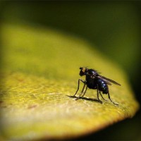 /album/tacbonicgest/photolia-a07-jpg/